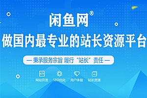 Astra Pro主题正版授权 中文汉化 WordPress 主题支持Elementor